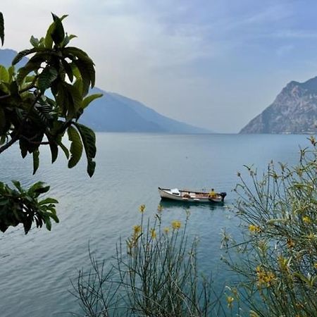 Alloggio Turistico Molu Apartment Gavazzo Nuova Bagian luar foto