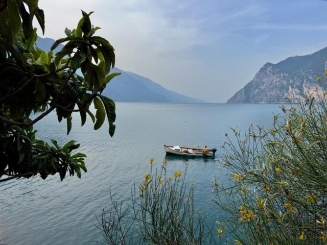 Alloggio Turistico Molu Apartment Gavazzo Nuova Bagian luar foto