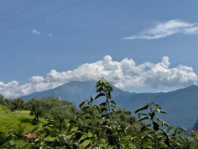Alloggio Turistico Molu Apartment Gavazzo Nuova Bagian luar foto
